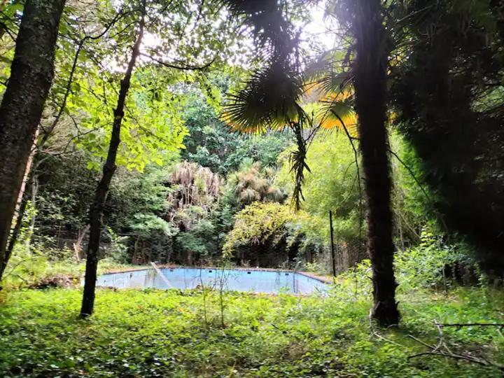 Séjour chez l'habitant Oasis En Ponte San Lazaro *