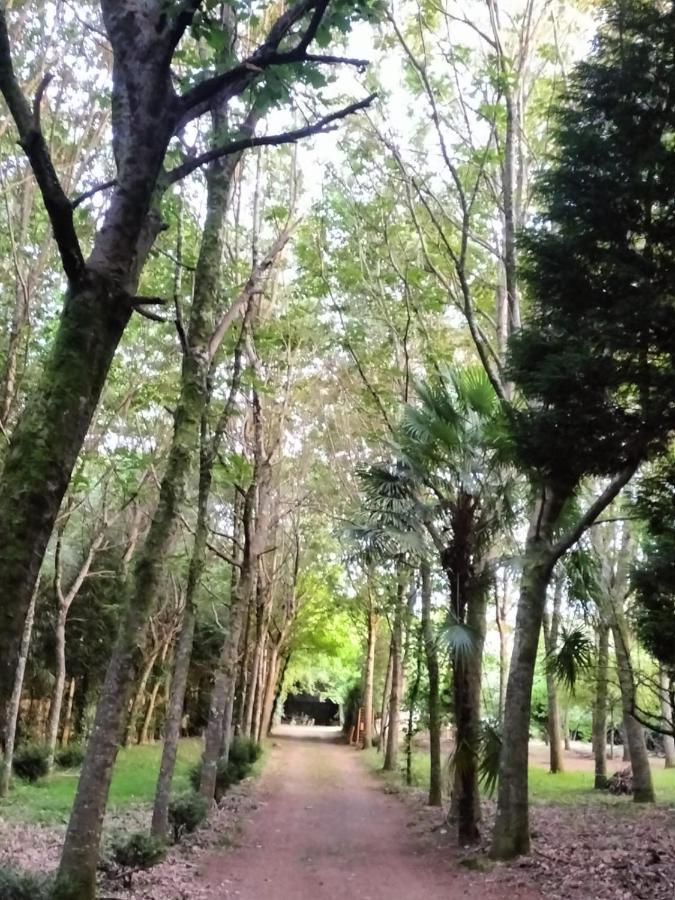Oasis En Ponte San Lazaro La Corogne