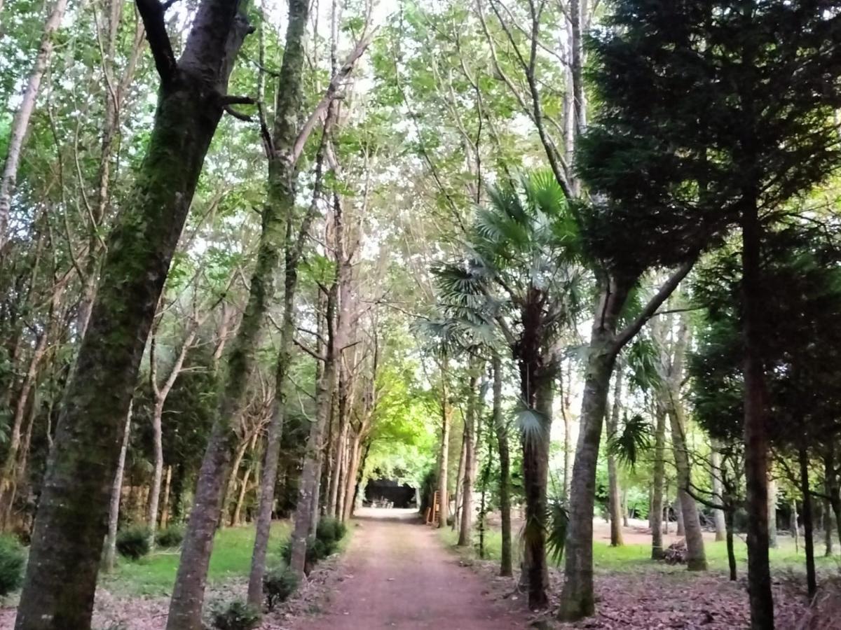 Oasis En Ponte San Lazaro La Corogne